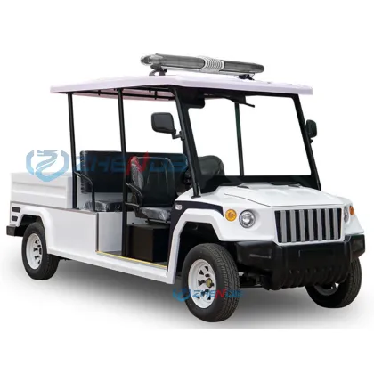 Factory Price Golf Carts and Battery Cars for Sightseeing and Patrol