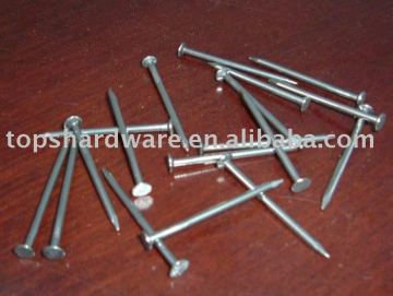 Bulk polished Nails/concrete nails from china