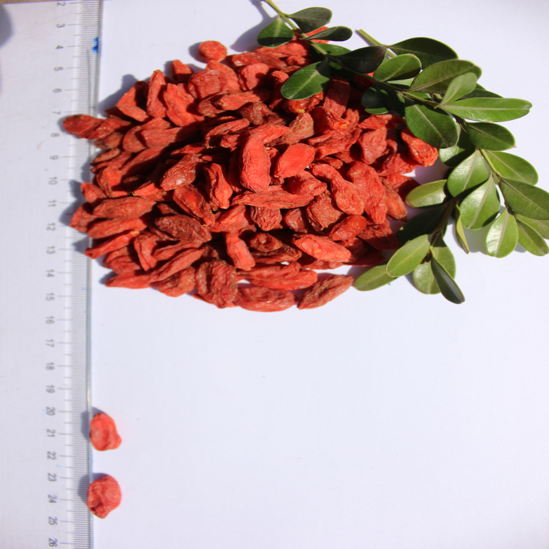 Haute nutrition Certifié sainement séché Goji Berry