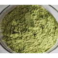 Pure Plant Ashitaba Stem and Leaf Extract 10: 1brown Ashitaba Capsule Ashitaba Seeds Powder