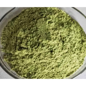 Pure Plant Ashitaba Stem and Leaf Extract 10: 1brown Ashitaba Capsule Ashitaba Seeds Powder