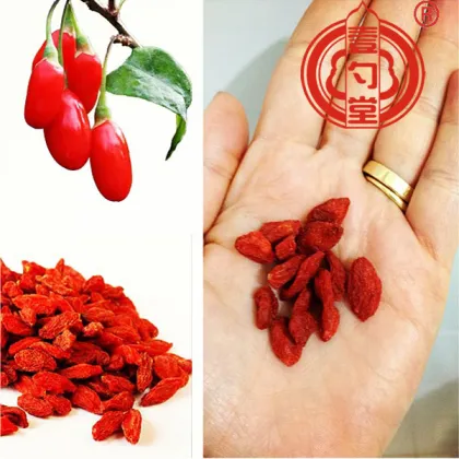 Dried Wolfberry Goji Berry Red Fruit