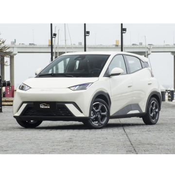 2023 Free Edition BYD Seagull Electric Car - 405km Range, 2024 Cheapest New Model