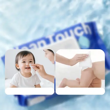 80ct Flushable Toilet Wipes, Antibacterial Fresh Wet Ones Wipes