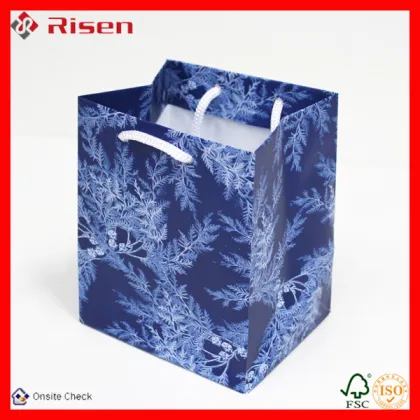 Corel draw format shopping paper bags design