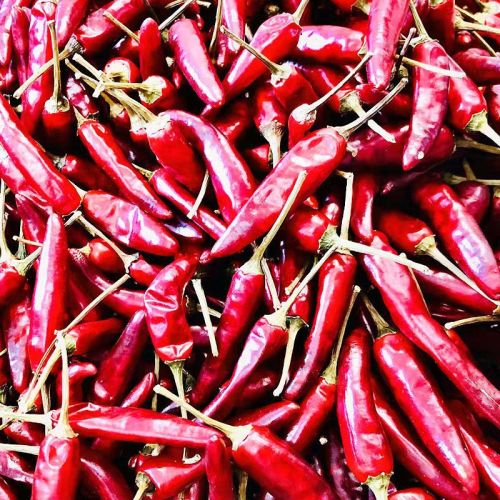 Single Spice Dried Chili Base direct sales dried chili Yan Chili Supplier