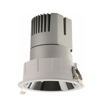 Modern Rotatable 12W COB LED Downlight