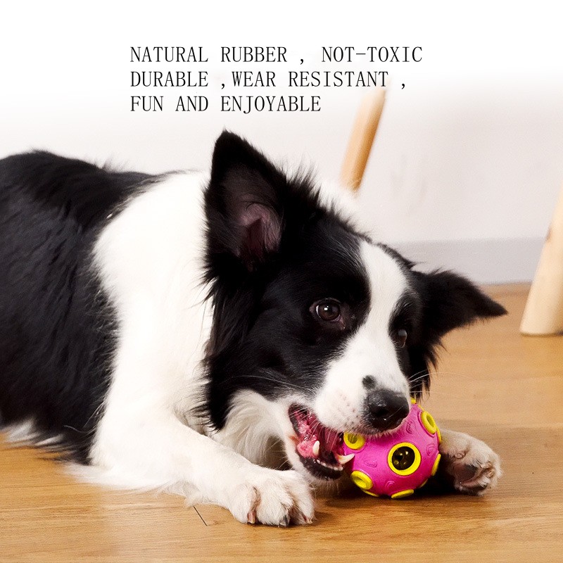 Pet Chew Toy Fetch Ball Toy