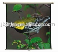 manual projector screen/matte white wall mount projector screen/manual screen price