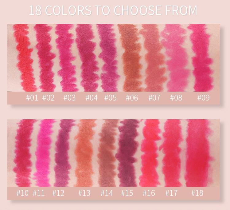 19 Color Lip Stick Kit Waterproof Matte Velvet Lip Liner Pencil Custom Private Label For Makeup Cosmetics No Logo LOW MOQ