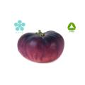 ISO9001 Food Cosmetic Grad Black Tomatenextrakt Pulver