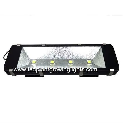 Waterproof Green 200w High Power Led Flood Light 6000k For Garden Outside Lights