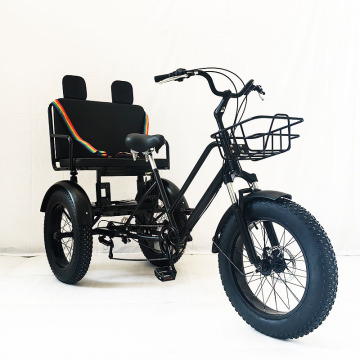 FEEFE BISTER 20 Zoll Beifahrerdreirad 20*4,0 Fettreifen Pedal -Dreirad mit großem Sitz 20 Zoll Dreirad