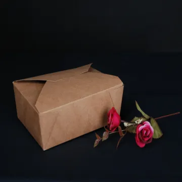 Take away food packaging boxes coated PE