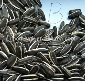 Roast Salt Black Sunflower Seeds