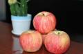 Ny Crop Fresh Billiga Fuji Apple (64-198)