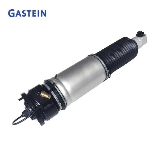 OEM 37126785535 Rear Air Strut Kit for E65 E66 Cars Air Suspension Shocks