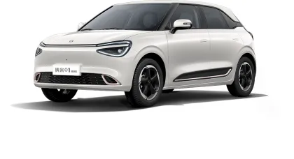 2024 Dongfeng Nano 01 430 Plus Zhi+