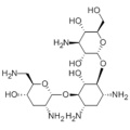 Tobramycin CAS 32986-56-4