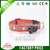 Aimigou nice cheap led usb rechargeable dog collars