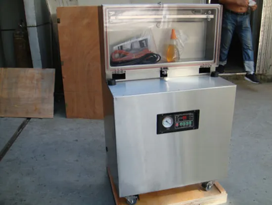 DZ-600L Vertical Vacuum Packaging Machine