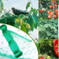 Agriculture Greenhouse Anti Bird Net