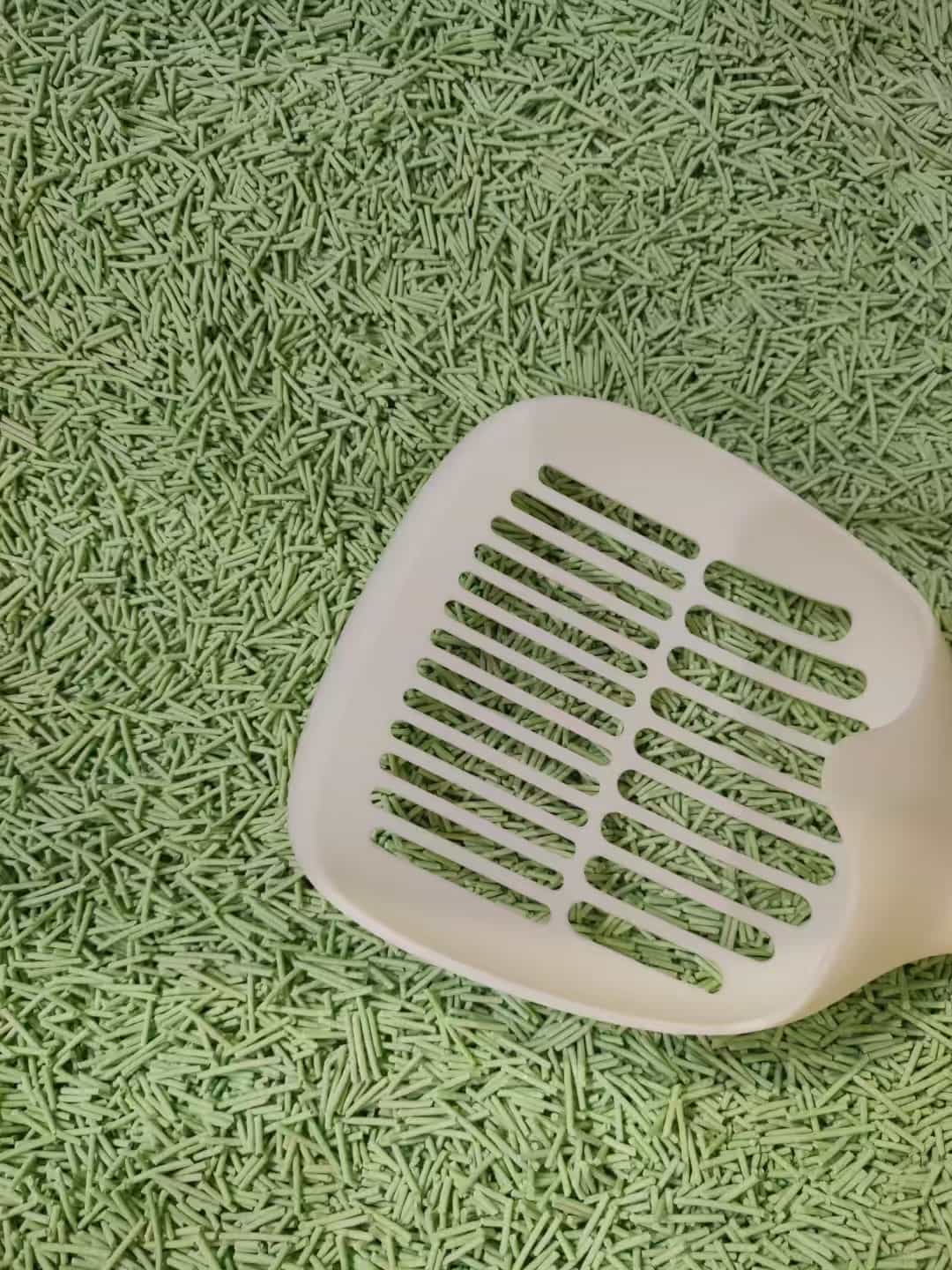 Tofu Cat Litter Green Tea