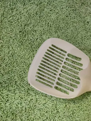 Premium 10kg Green Tea Cat Litter for Home