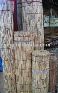 Reed Fence