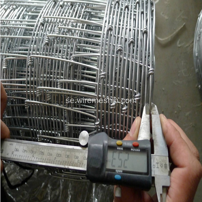 Hot Dipped Galvanized Field Wire Fäktning