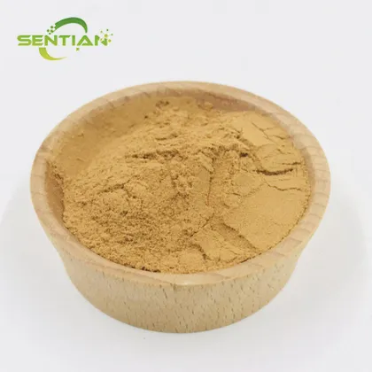 Premium Cordyceps Polysaccharide Extract