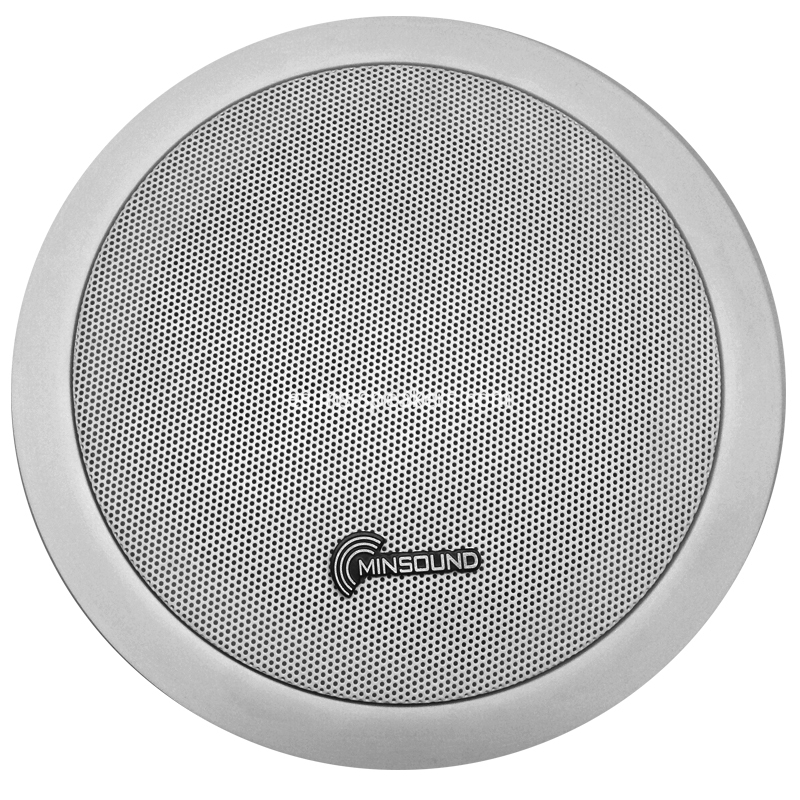 Pa Ceiling Speaker