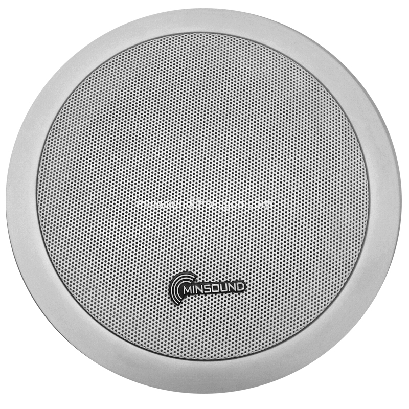 PA SPORTO PAPO Pa Ceiling Speaker
