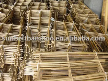 Bamboo cane trellis