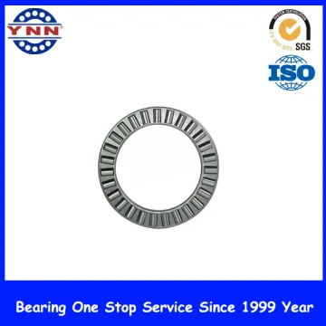 Needle Roller Bearing for Machine Bearings (NK22/20)