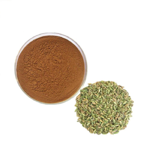 Hot Sale Fennel Extract