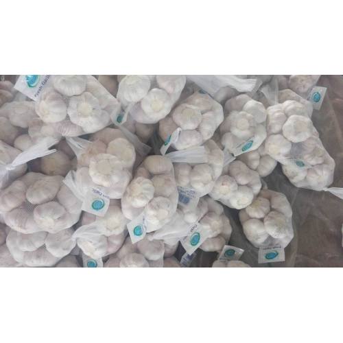 Hot Selling in Market Fresh Pure White Knoflook