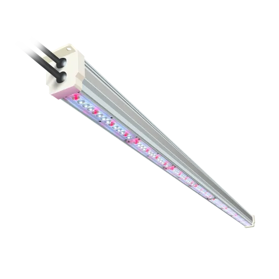 Super Indoor Greenhouse: Full Spectrum Vertical Farming with Aquaponics and LED Grow Lights