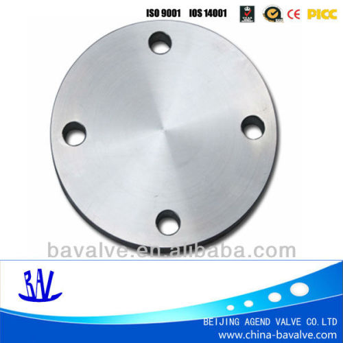 blind flange / flange