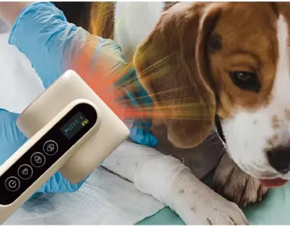 Pet Led Laser Therapy Device for cat dog