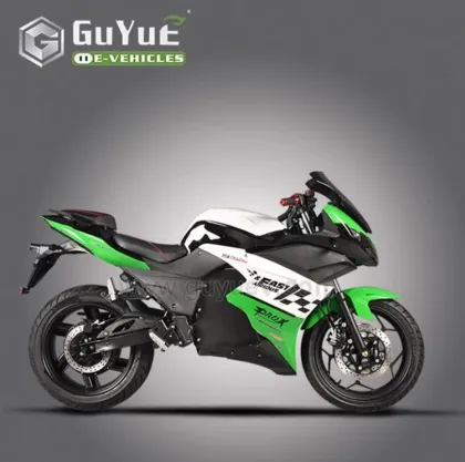 Electric Motorcycle Street Bike