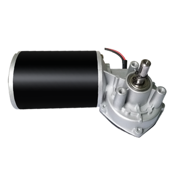 Maintex 150W 24V 60rpm DC Worm Gear Motor