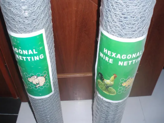 Fish trap wire/Chickn wire/fish trap hexagonal wire mesh