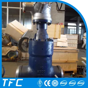 motor gate valve, electric motor