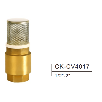 Valve de vérification du ressort en laiton CK-CV4017 1/2 &quot;-2&quot;