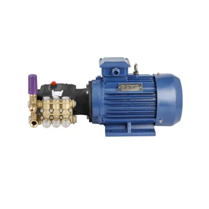 180bar High Pressure Washer Pump