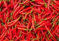 Chaotian chili 4-7cm 10kg