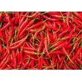 Chaotyczne chili 4-7cm 10kg