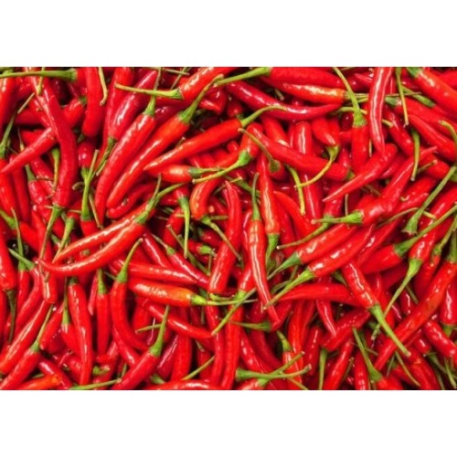 Chaotyczne chili 4-7cm 10kg