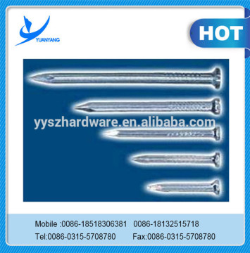 galvanized concrete nail/concrete nails wholesales price